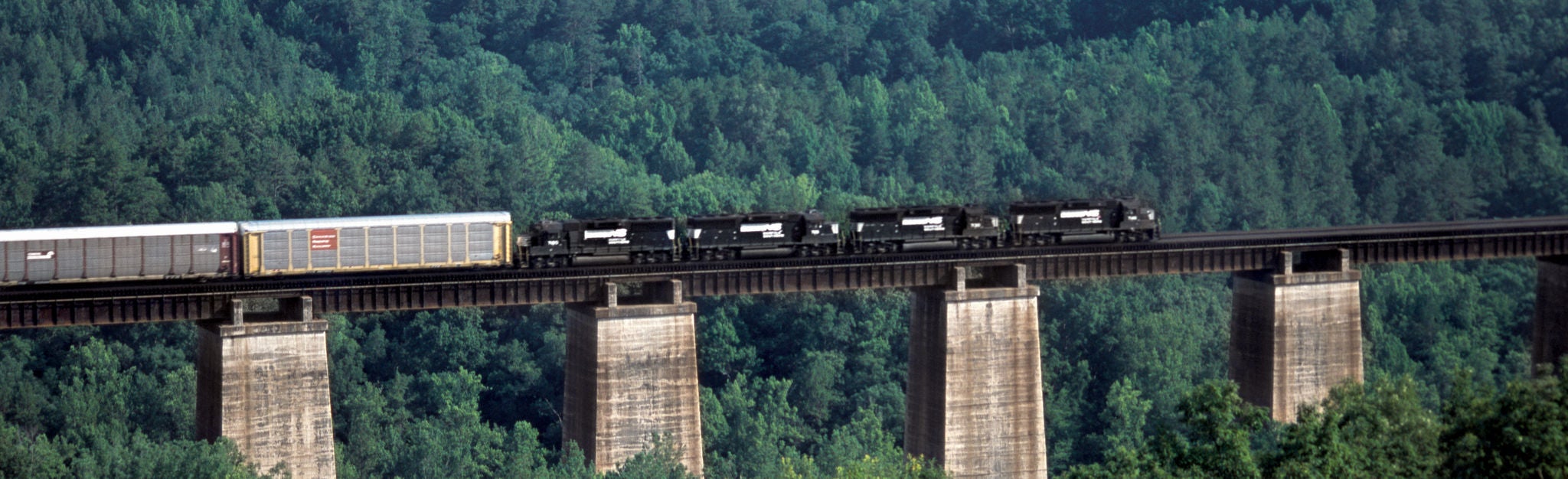 Bridge high above forest