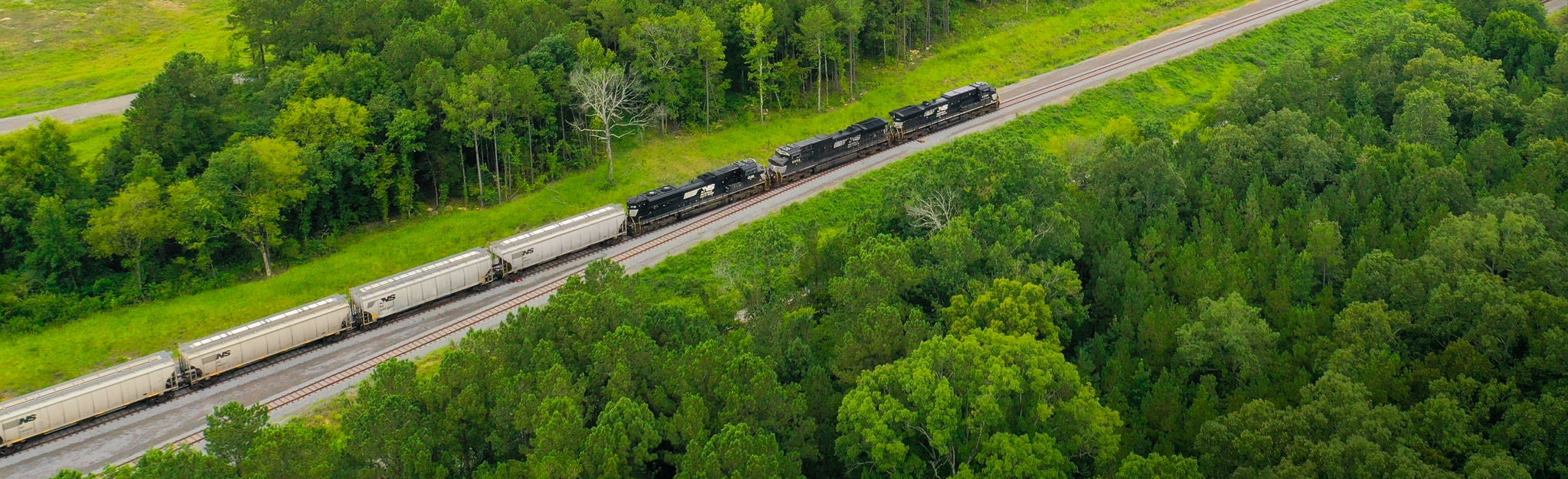 Grain Train in Green forest