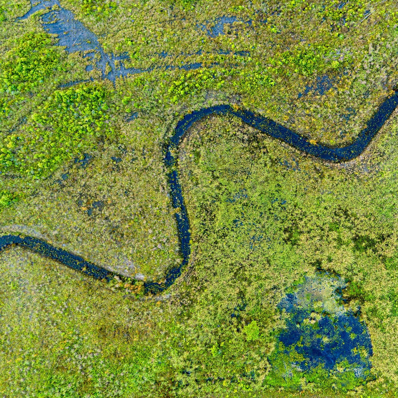 Aerial view of a river snaking through a wetlands showing all aspects of a railroad network