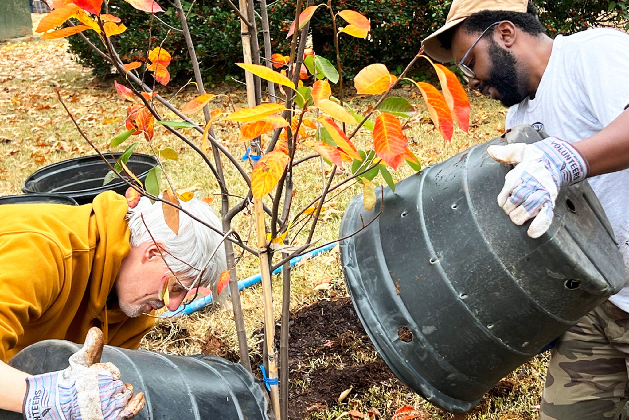 Two railroad industry employees planting a tree, fostering sustainability and growth in your community