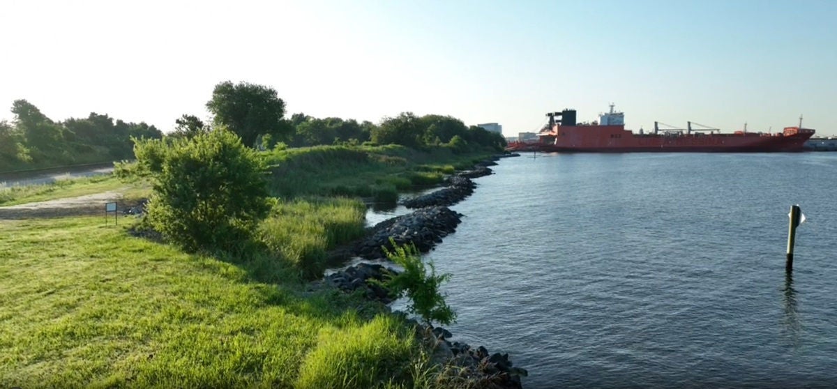 Living-Shoreline-Sept-30-resized.jpg