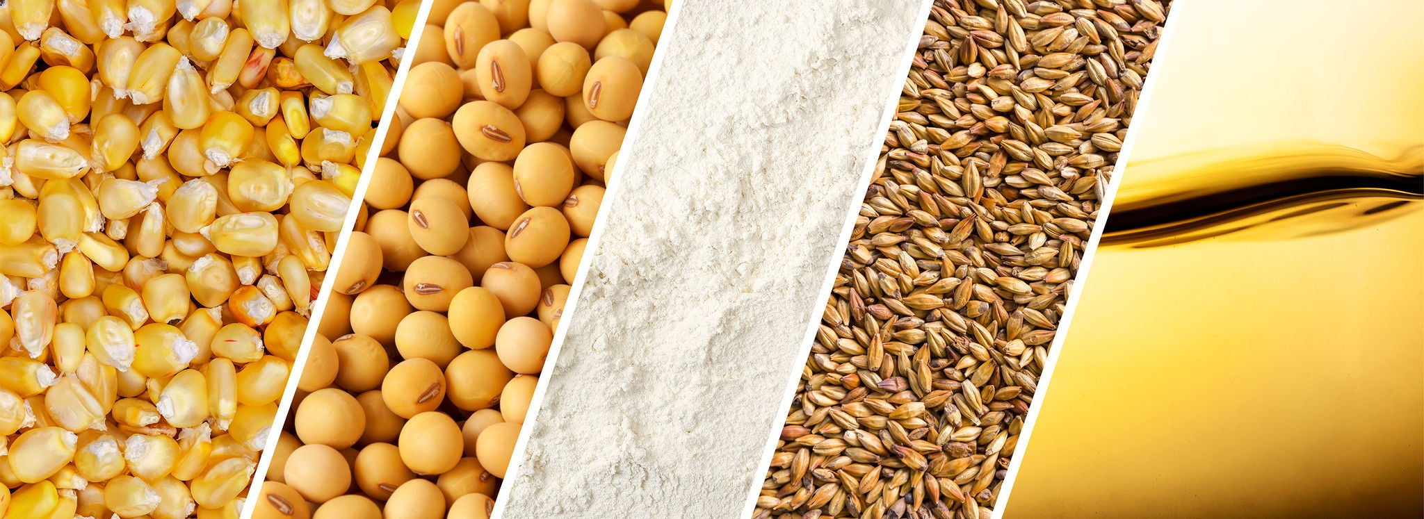 Close up of shippable agricultural products featuring corn, wheat, soybeans, grains, and food oils