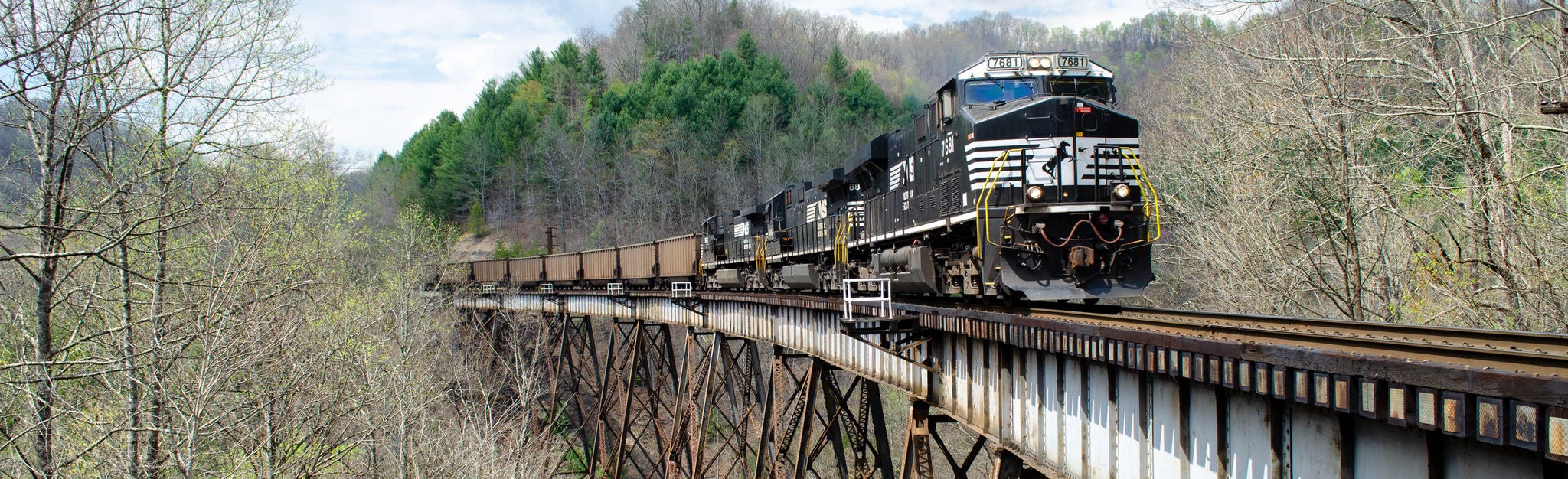 spring tressel bridge