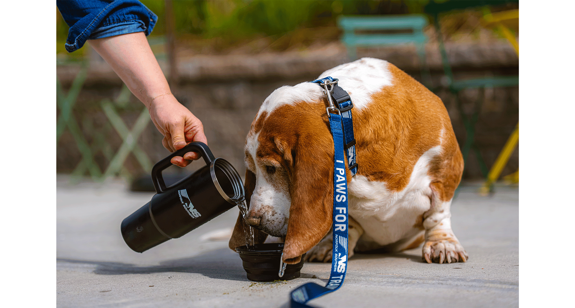 National Pet Month