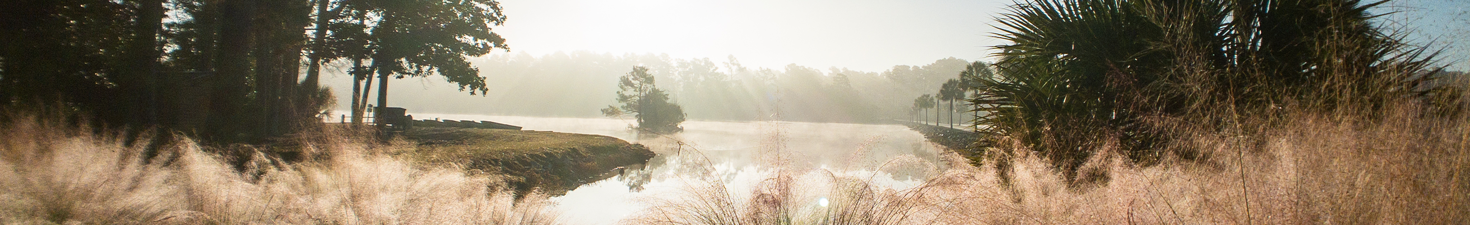 wetland