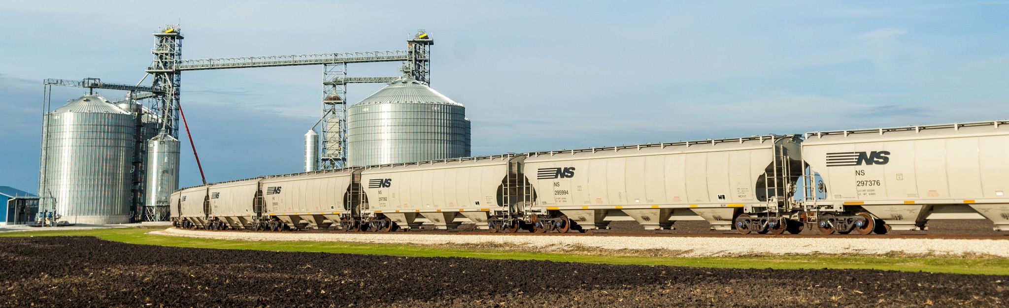 Wide view of Norfolk Southern railcars in the process of shipping agricultural products and industrial forest products