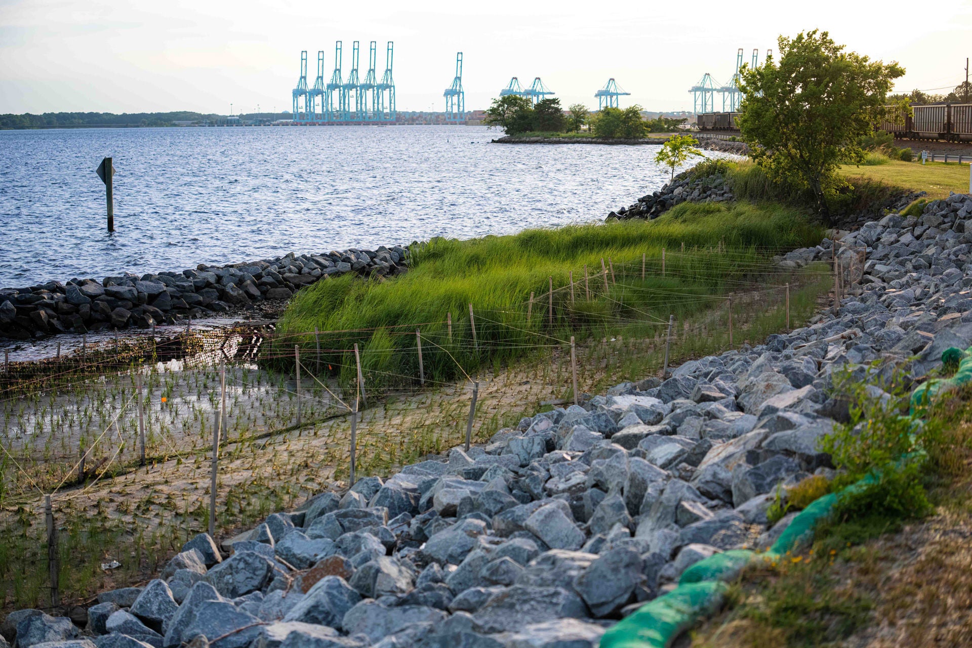 Living Shoreline Slide 1