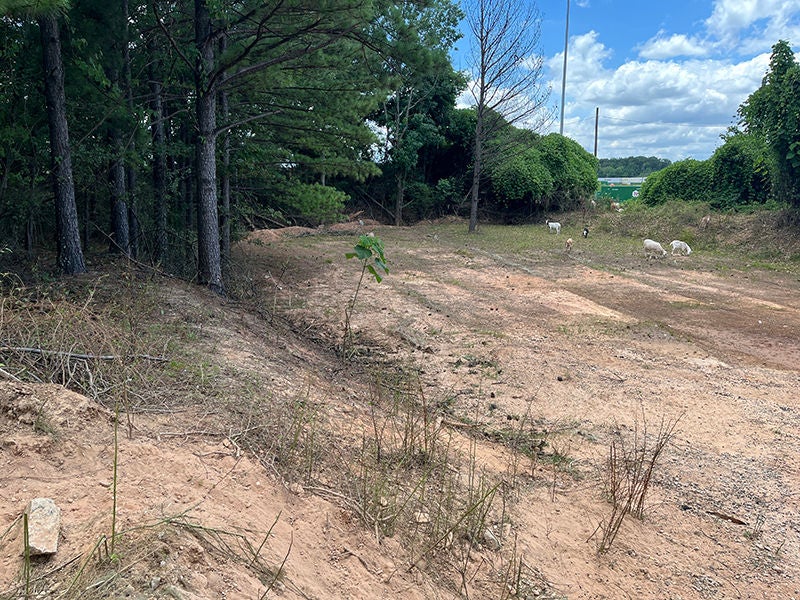 site-1-image2