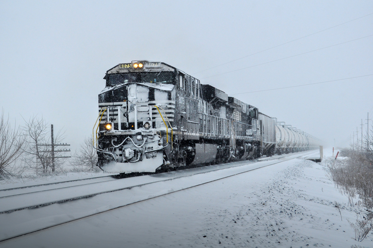 Team NS resilience shines through winter storm