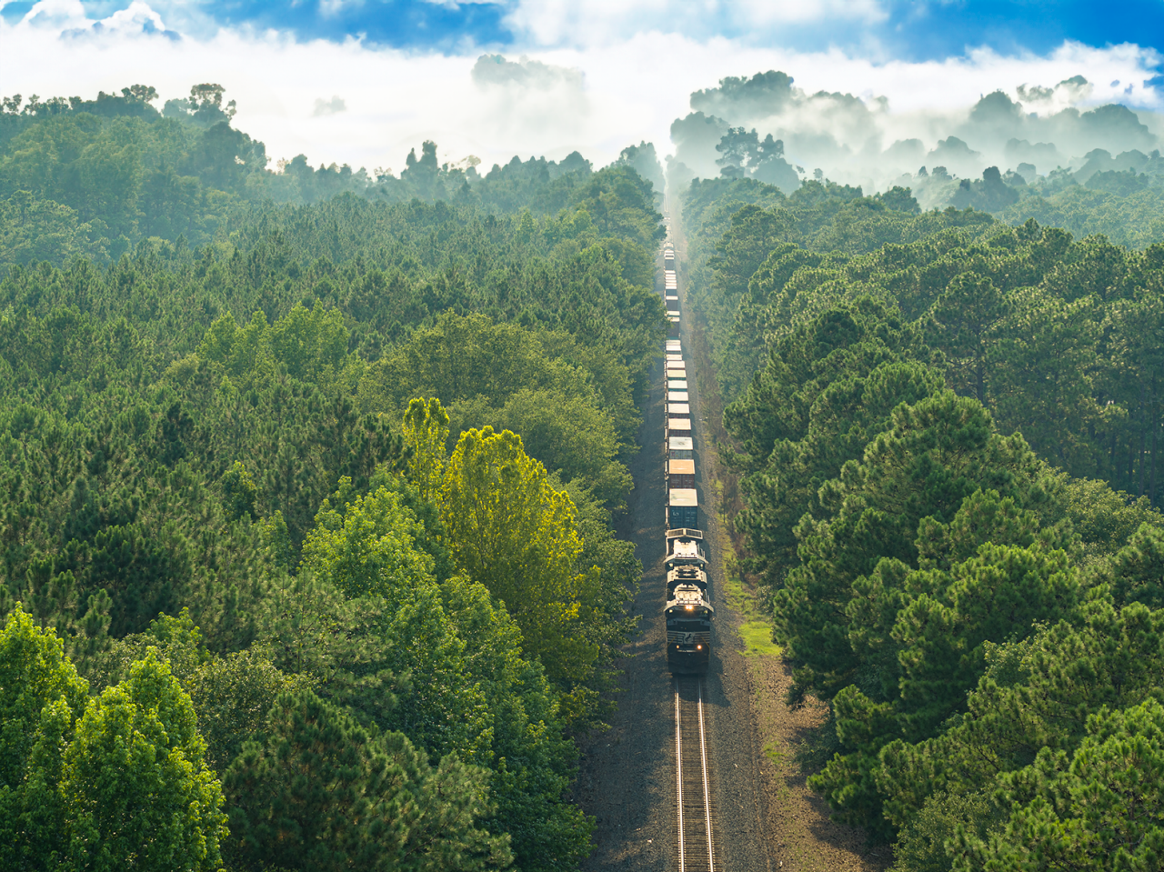 Brosnan Forest Train with Blue Sky and Fog