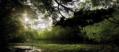 The Edisto River, the longest free-flowing "blackwater" river in North America, runs along the southern border of Norfolk Southern's Brosnan Forest. Norfolk Southern's conservation easements protecting 12,788 acres of the Forest help preserve the significant ecological value of the river and the larger Ashepoo, Combahee, and Edisto Basin watershed. (PRNewsFoto/Norfolk Southern Corporation)
