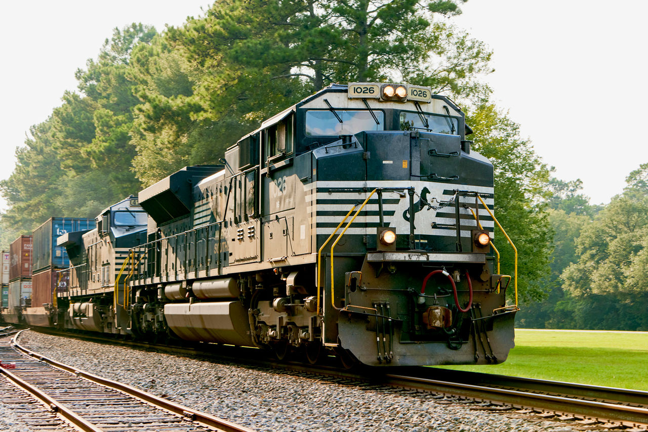 Charleston Brosnan Forest NB