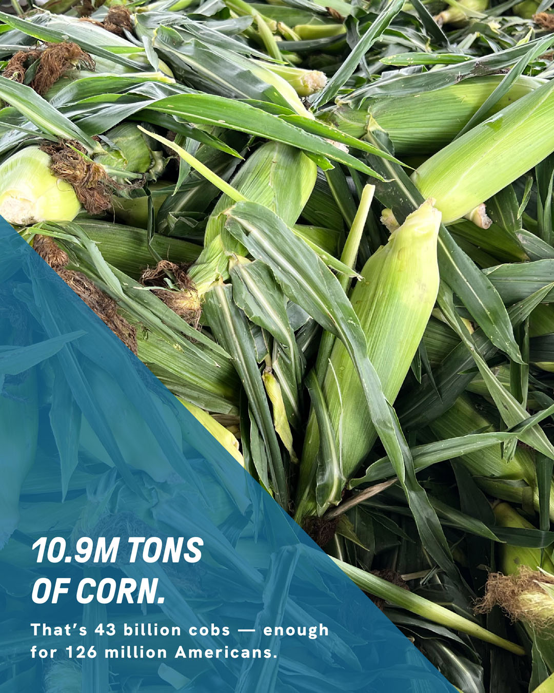 ~ai-b06079b2-ee01-46b8-b9df-86dd2e2be006_