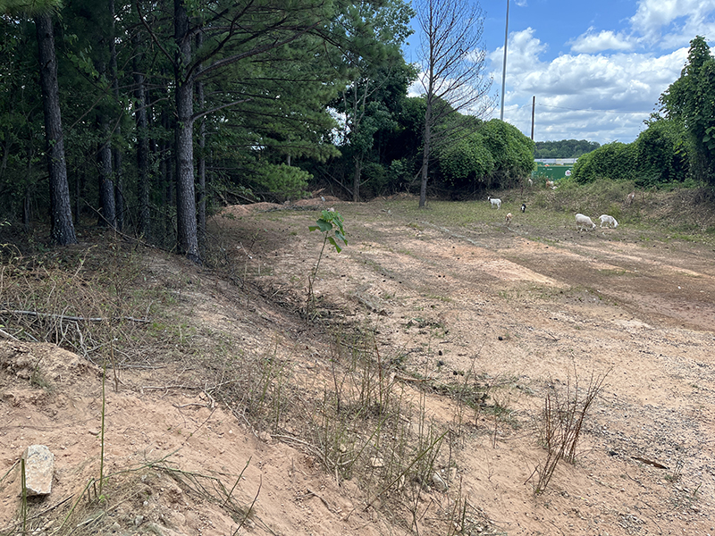 site-1-image2