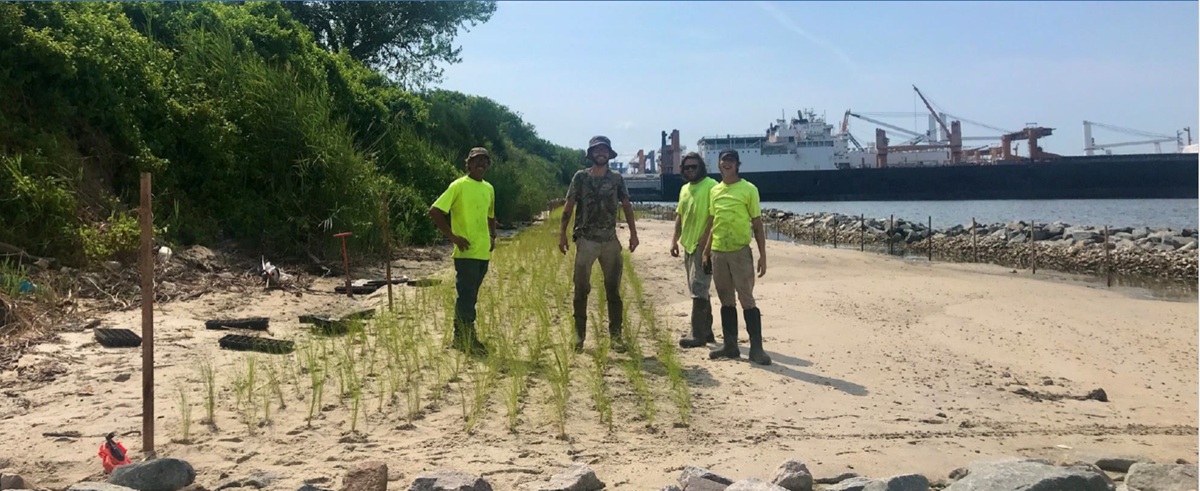 Plant-Contractors-resized