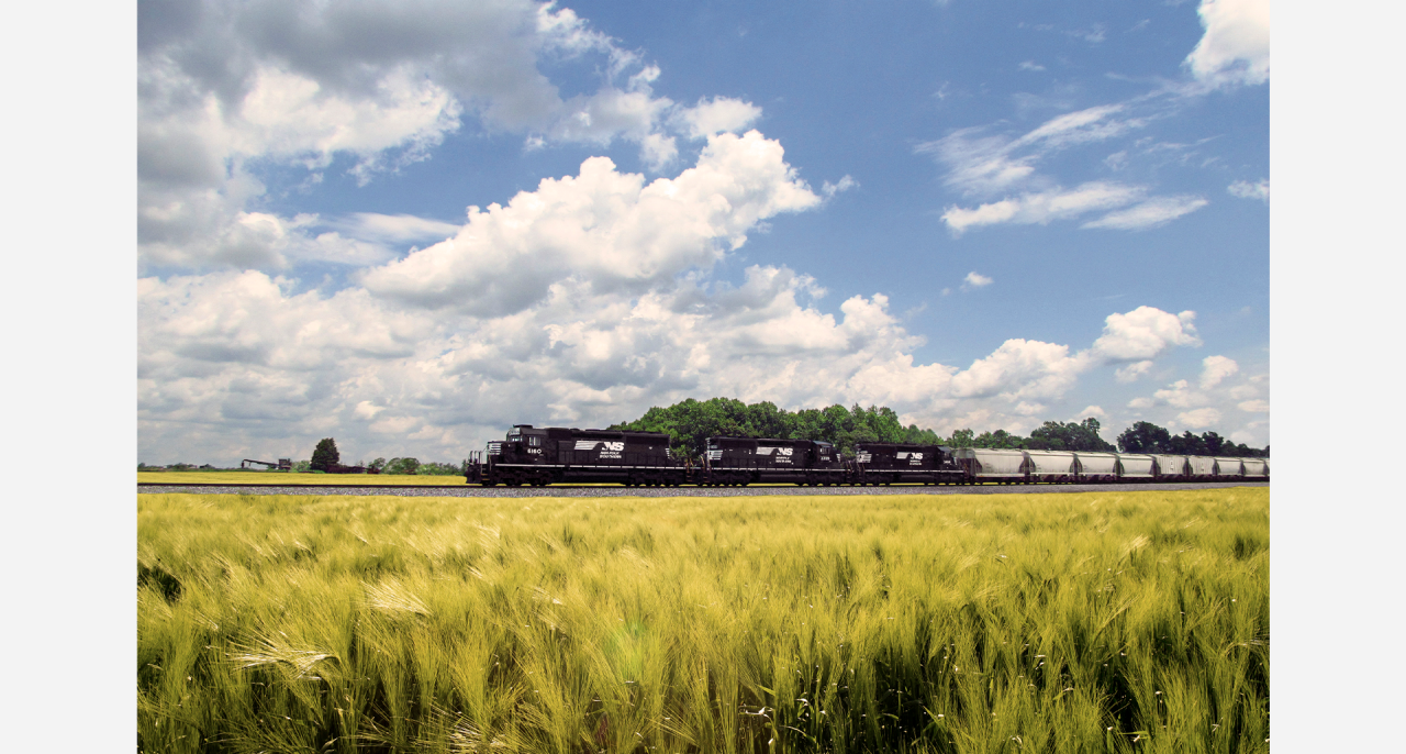 March Madness story image