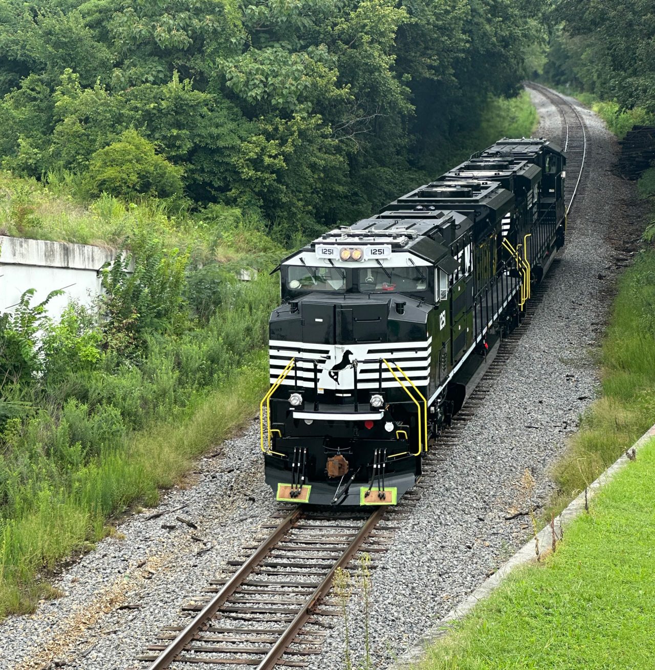 NS train image