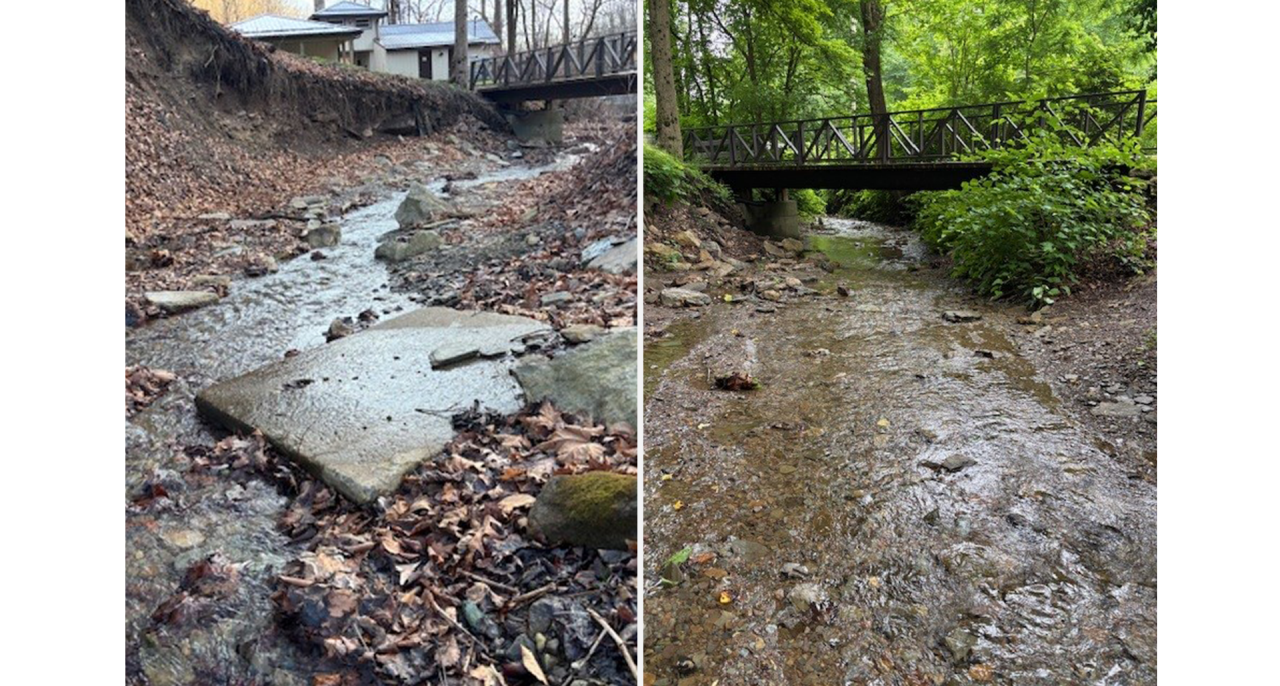 Earth Day 2026 Camp Guyasuta before and after